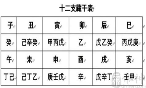 地支暗藏|八字算命基礎：十二地支藏干